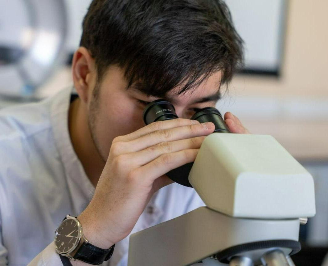 Bioengineering (scientific and pedagogical focus)