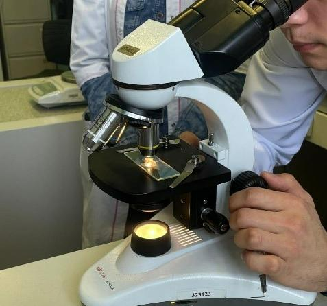 Research biologist (scientific and teaching field)