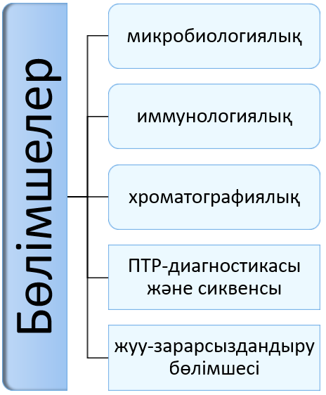 Зертхана бөлімшелері