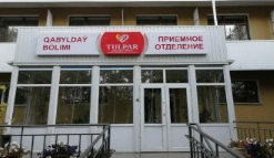 Тұлпар
