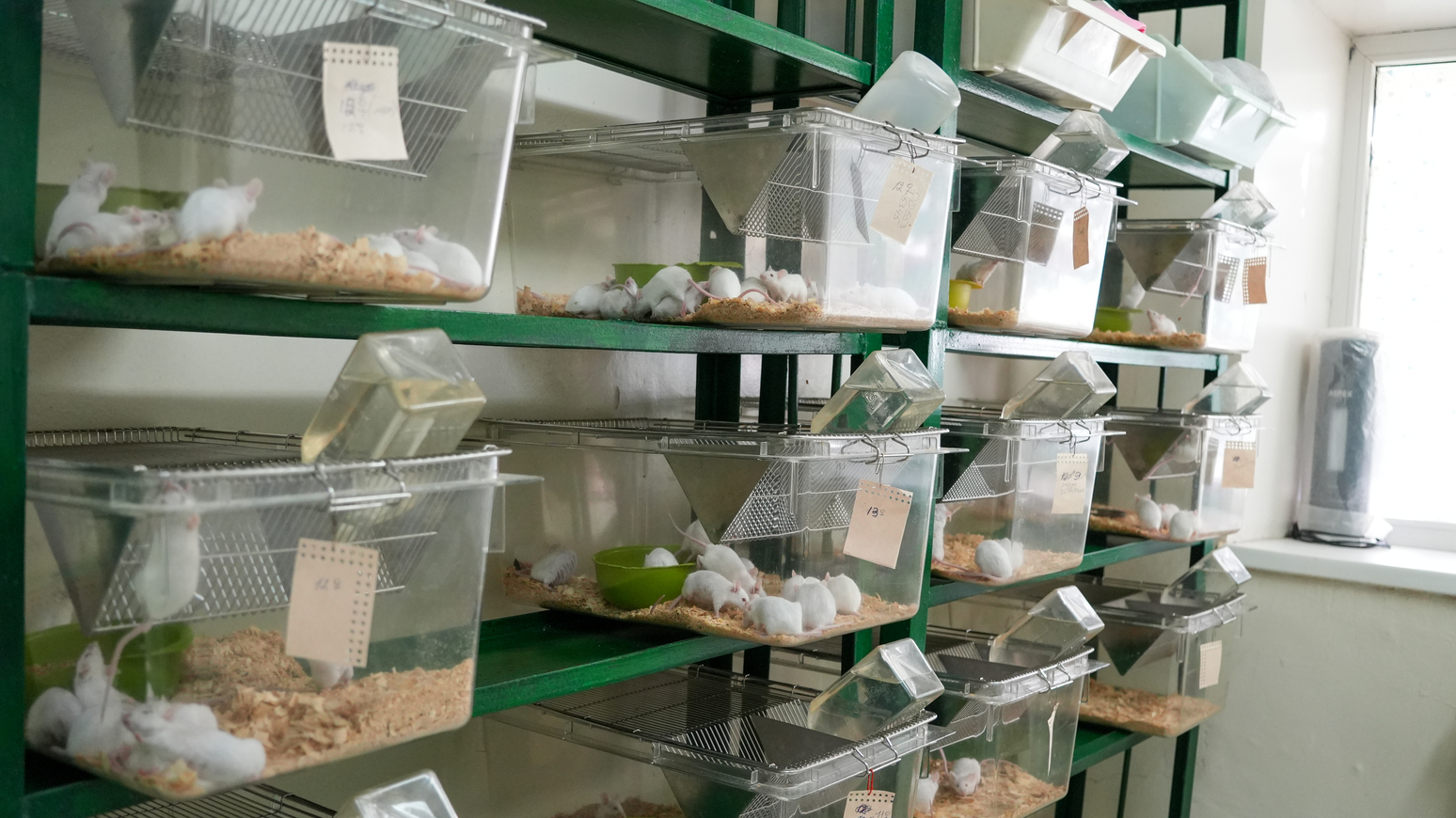Vivarium