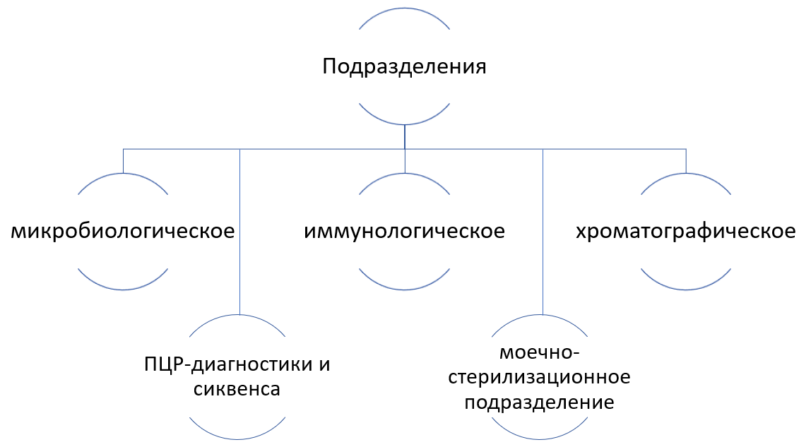 Подразделения лаборатории