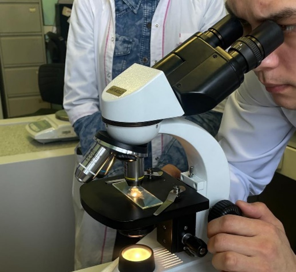 Institute of Life Sciences